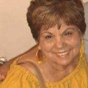 Meet your Posher, Molly